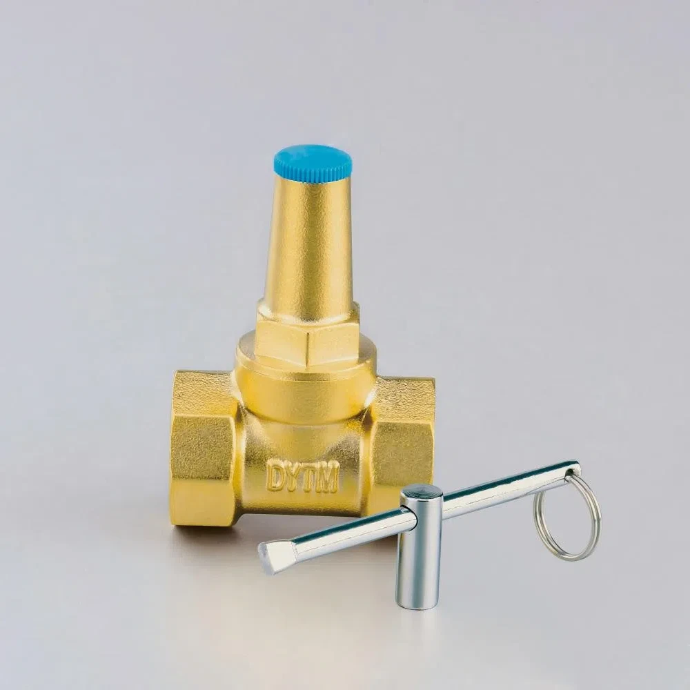 Brass check gate valve Brass check gate valve